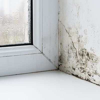 RX-425 Isolxtrem Therm’Xpert